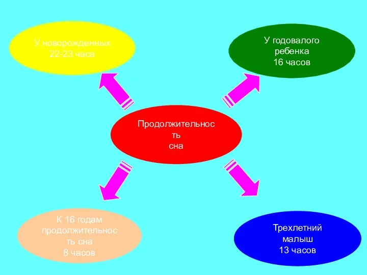 Продолжительность сна У новорожденных 22-23 часа У годовалого ребенка 16