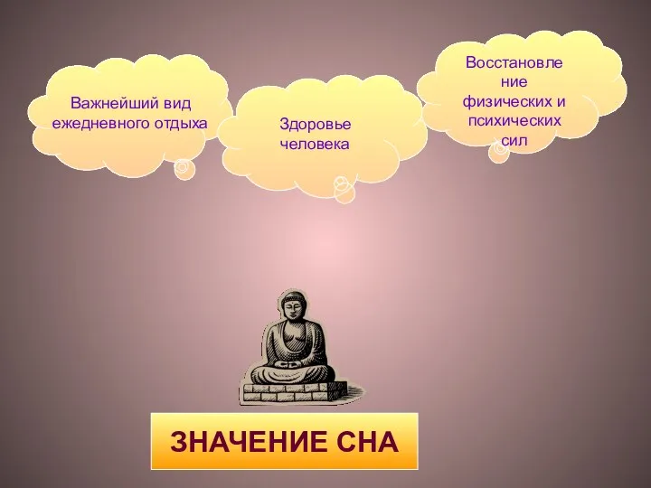 Здоровье человека Восстановле ние физических и психических сил Важнейший вид ежедневного отдыха ЗНАЧЕНИЕ СНА