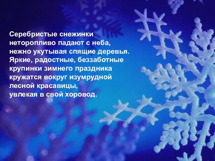 Серебристые снежинки неторопливо падают с неба, нежно укутывая спящие деревья. Яркие, радостные, беззаботные