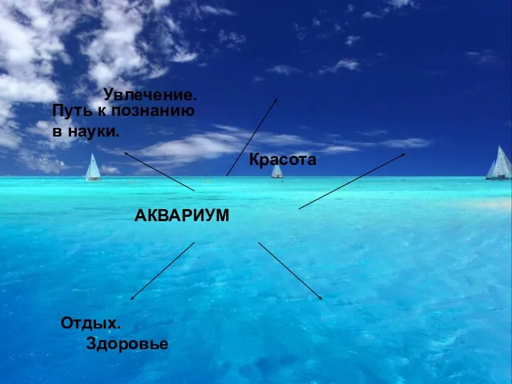 Увлечение. Путь к познанию в науки. Красота АКВАРИУМ Отдых. Здоровье