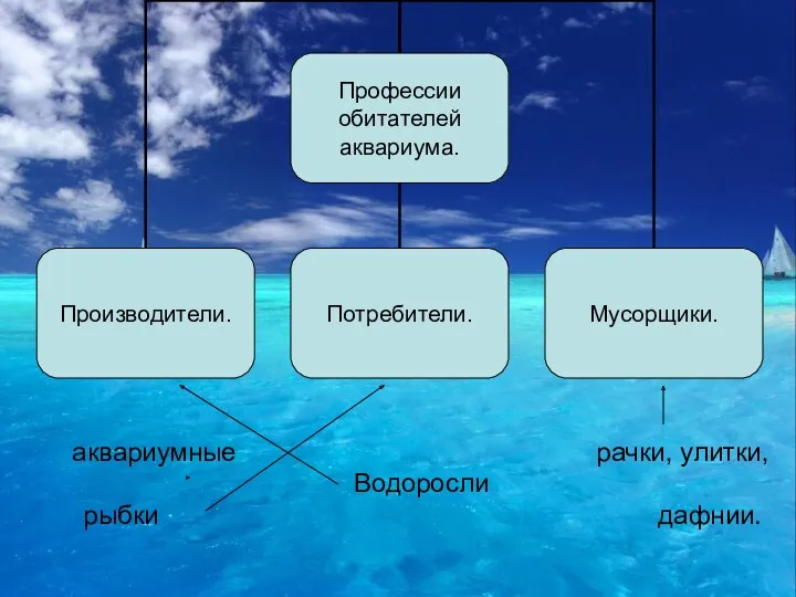 аквариумные рачки, улитки, Водоросли рыбки дафнии.