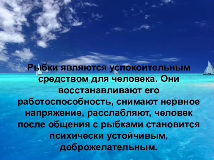 Рыбки являются успокоительным средством для человека. Они восстанавливают его работоспособность,