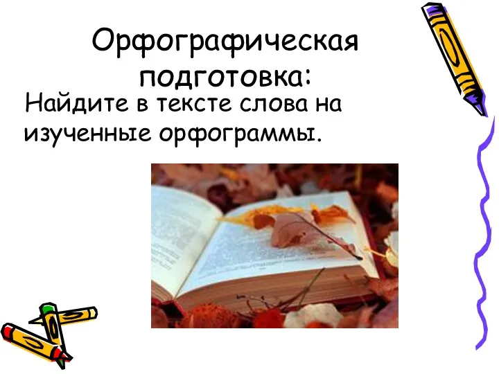 Орфографическая подготовка: Найдите в тексте слова на изученные орфограммы.