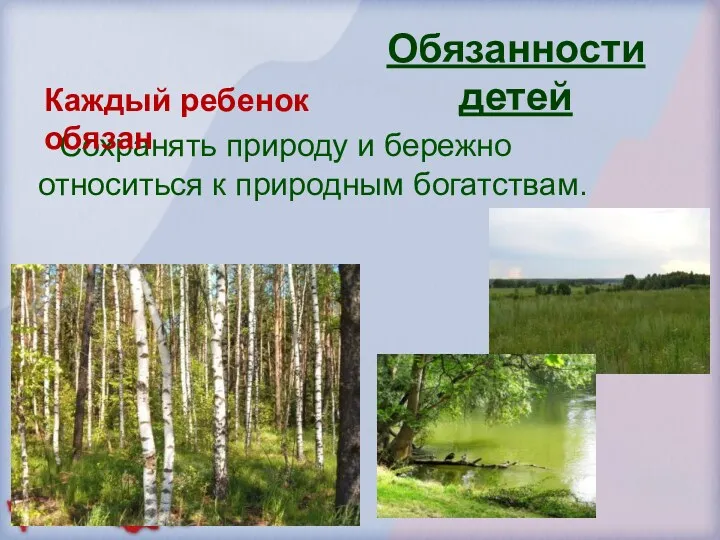 Сохранять природу и бережно относиться к природным богатствам. Обязанности детей Каждый ребенок обязан