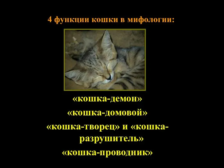 4 функции кошки в мифологии: «кошка-демон» «кошка-домовой» «кошка-творец» и «кошка-разрушитель» «кошка-проводник»
