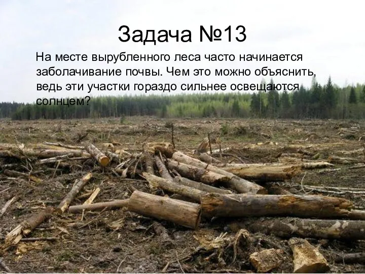 Задача №13 На месте вырубленного леса часто начинается заболачивание почвы.