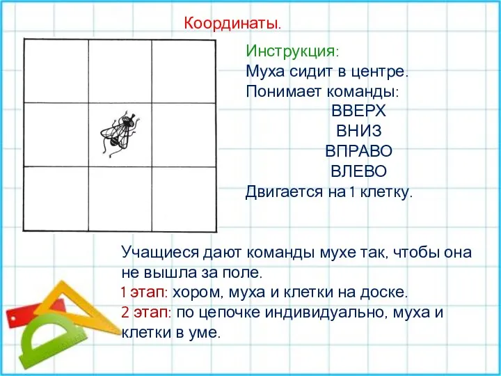 Координаты. Инструкция: Муха сидит в центре. Понимает команды: ВВЕРХ ВНИЗ