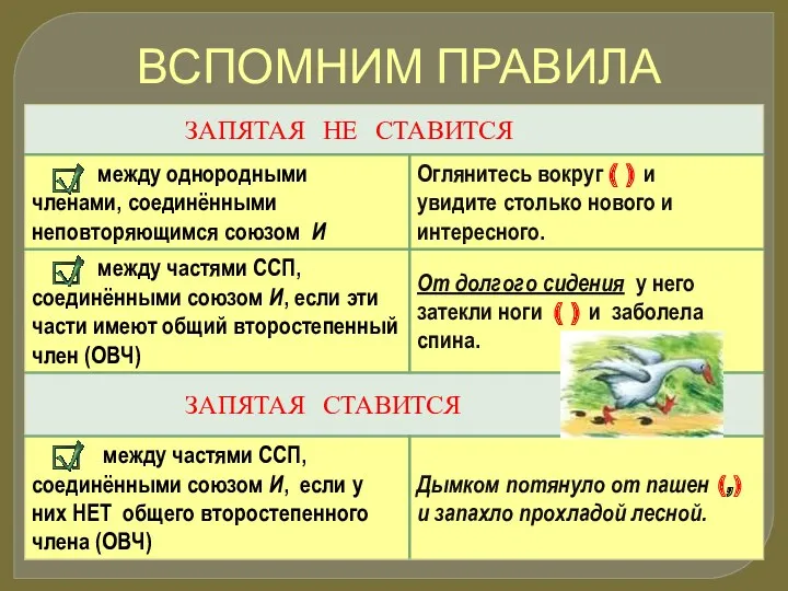 ВСПОМНИМ ПРАВИЛА