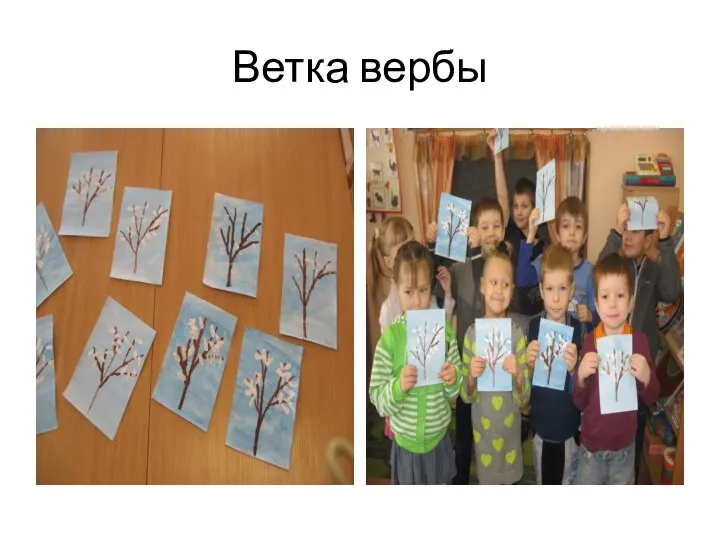 Ветка вербы