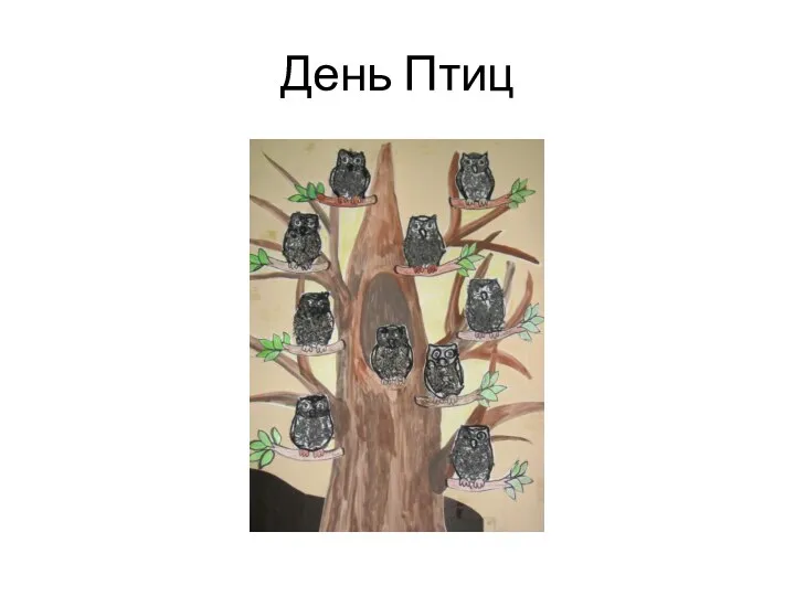 День Птиц