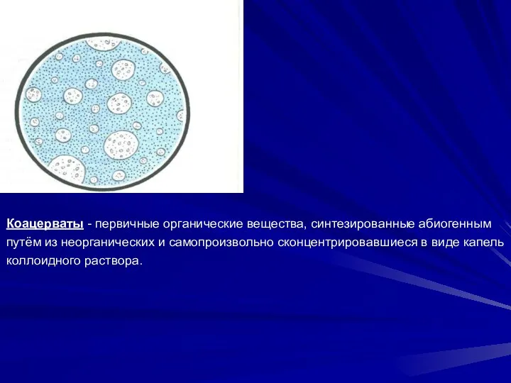 Коацерваты - первичные органические вещества, синтезированные абиогенным путём из неорганических