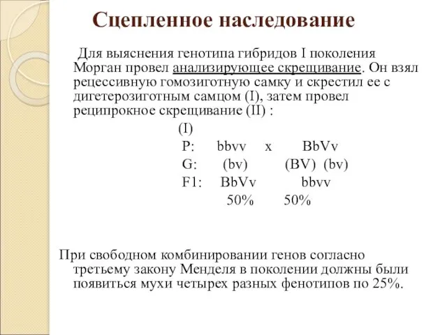 Сцепленное наследование Для выяснения генотипа гибридов I поколения Морган провел анализирующее скрещивание. Он