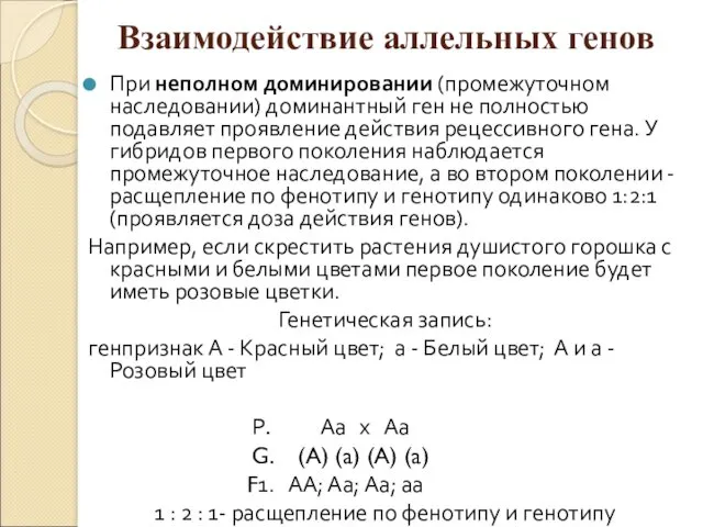 Взаимодействие аллельных генов При неполном доминировании (промежуточном наследовании) доминантный ген