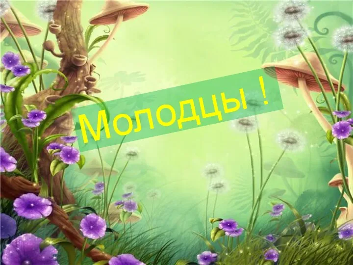 Молодцы !