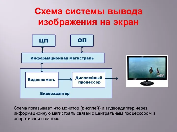 Схема системы вывода изображения на экран Схема показывает, что монитор (дисплей) и видеоадаптер