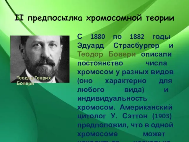 II предпосылка хромосомной теории Теодор Генрих Бовери С 1880 по