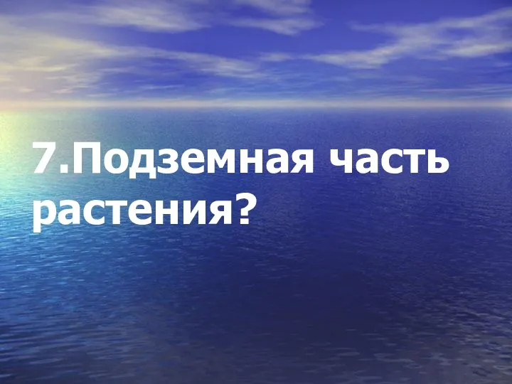 7.Подземная часть растения?