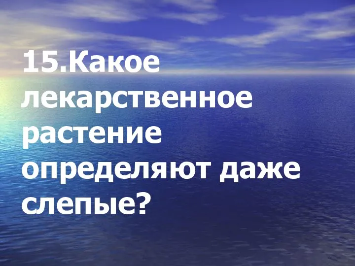 15.Какое лекарственное растение определяют даже слепые?