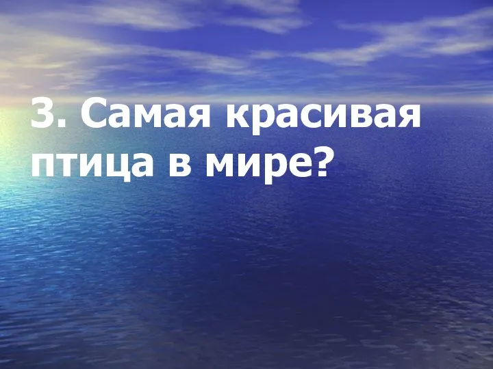 3. Самая красивая птица в мире?