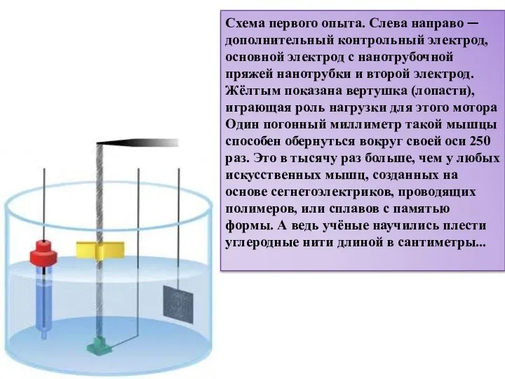 Схема первого опыта. Слева направо — дополнительный контрольный электрод, основной