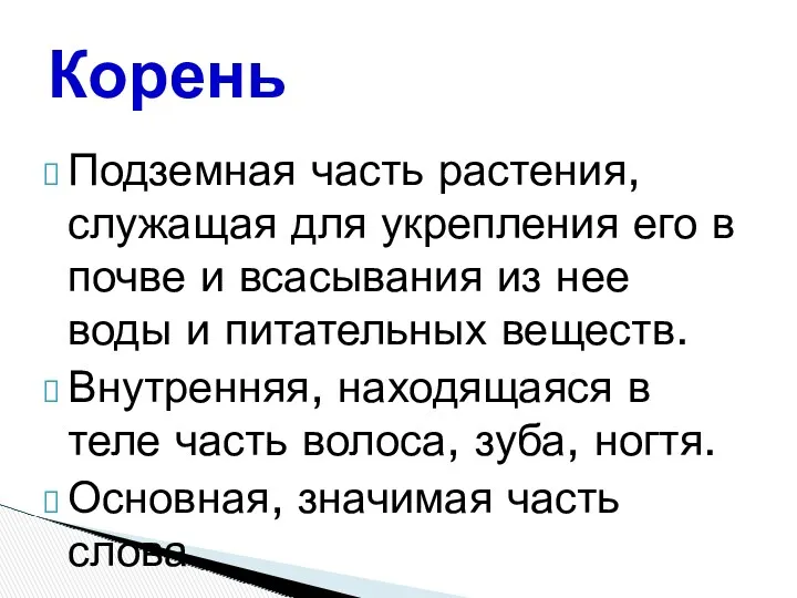 Подземная часть растения, служащая для укрепления его в почве и