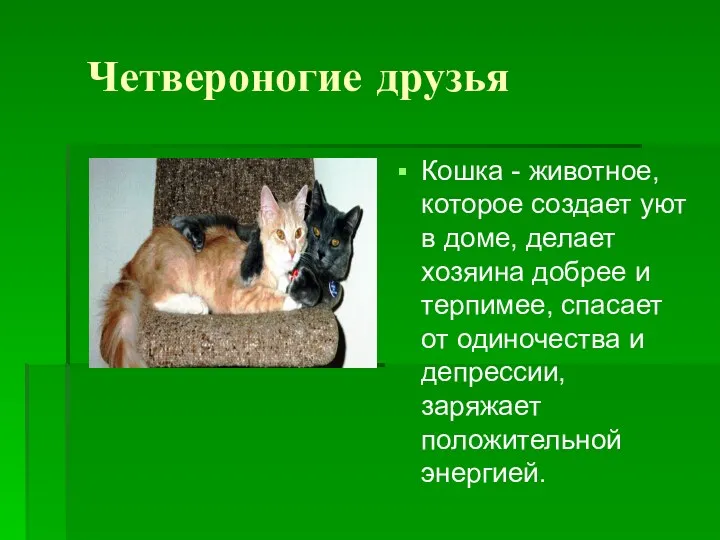 Четвероногие друзья Кошка - животное, которое создает уют в доме, делает хозяина добрее