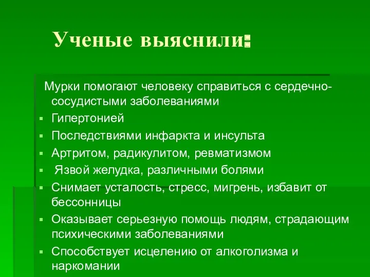 Ученые выяснили: Мурки помогают человеку справиться с сердечно-сосудистыми заболеваниями Гипертонией Последствиями инфаркта и