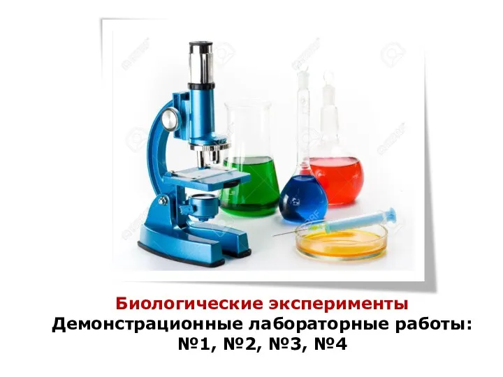 Биологические эксперименты Демонстрационные лабораторные работы: №1, №2, №3, №4