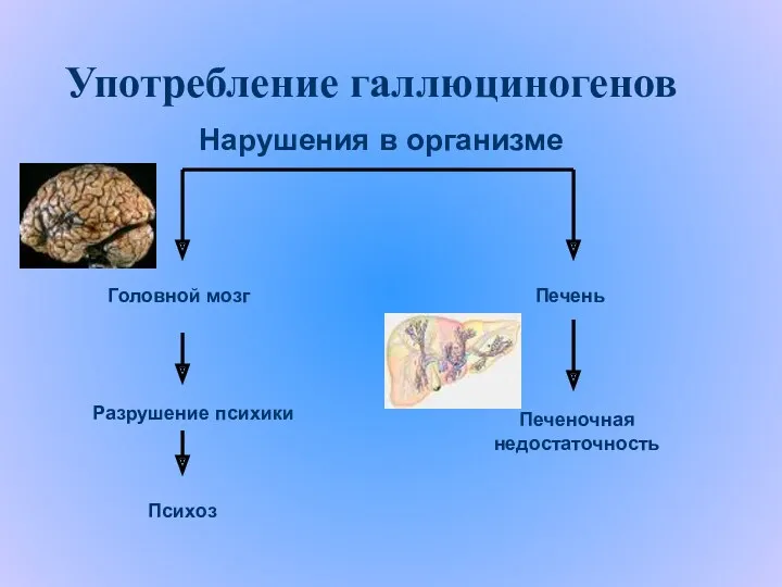 Употребление галлюциногенов Головной мозг Психоз Печень Печеночная недостаточность Разрушение психики Нарушения в организме