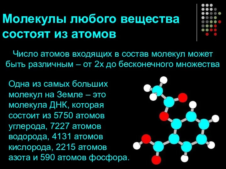 Молекулы любого вещества состоят из атомов Число атомов входящих в состав молекул может
