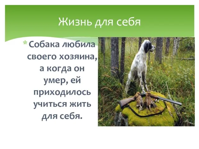 Собака любила своего хозяина, а когда он умер, ей приходилось