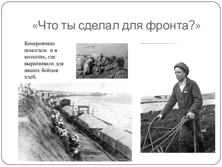 «Что ты сделал для фронта?» Кемеровчане помогали и в колхозах, где выращивали для наших бойцов хлеб.