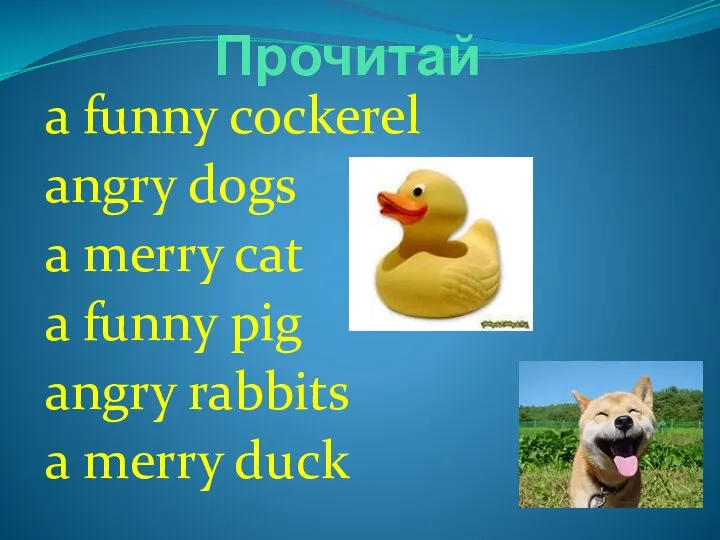 Прочитай a funny cockerel angry dogs a merry cat a