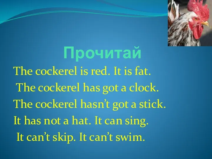 Прочитай The cockerel is red. It is fat. The cockerel