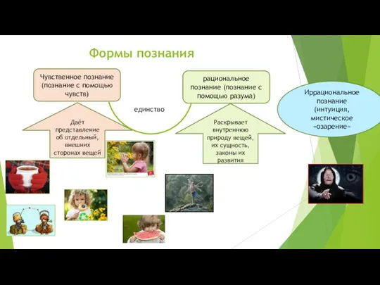 Формы познания Иррациональное познание (интуиция, мистическое «озарение» Чувственное познание (познание