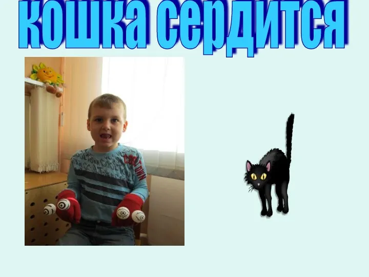 кошка сердится