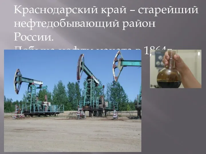 Краснодарский край – старейший нефтедобывающий район России. Добыча нефти начата в 1864г.