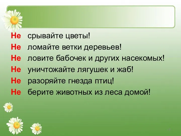 Не срывайте цветы! Не ломайте ветки деревьев! Не ловите бабочек