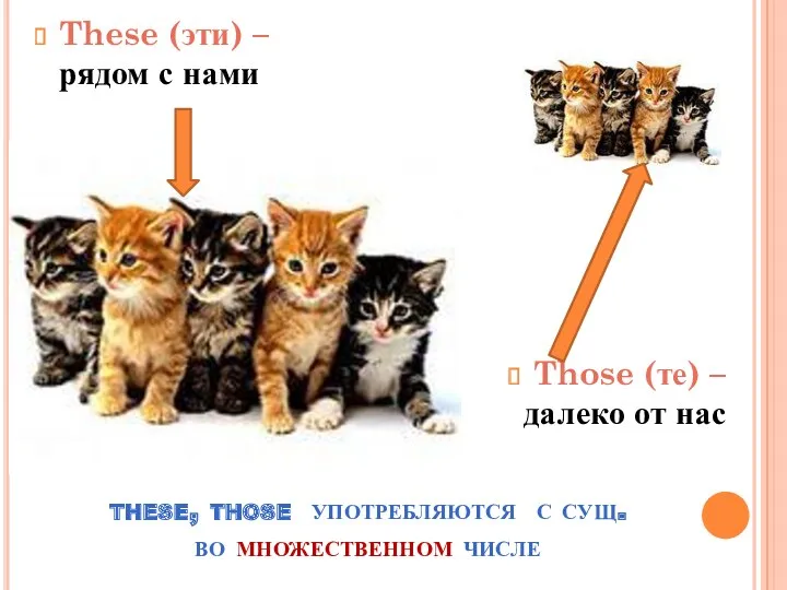 these, those употребляются с сущ. во множественном числе These (эти)