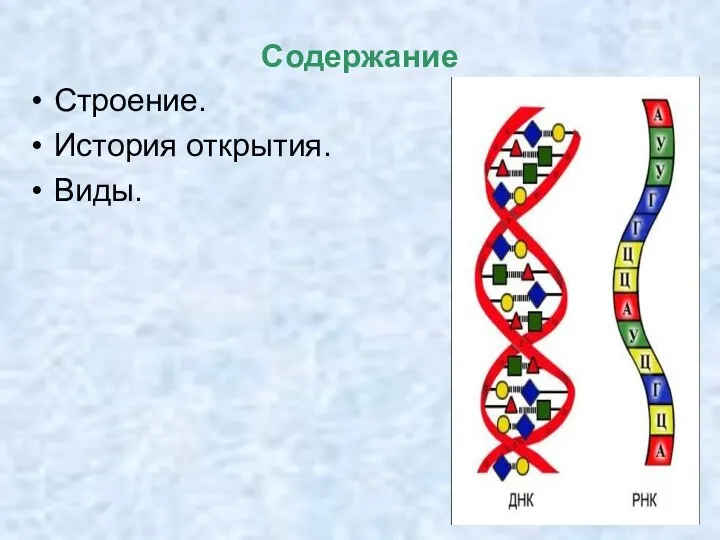 Содержание Строение. История открытия. Виды.