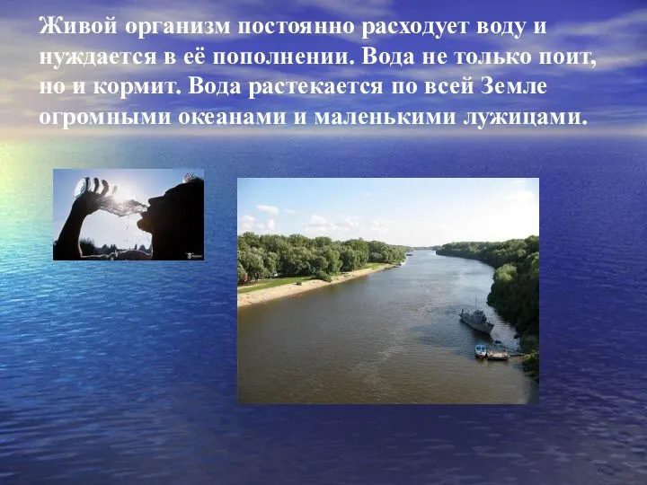 Живой организм постоянно расходует воду и нуждается в её пополнении. Вода не только