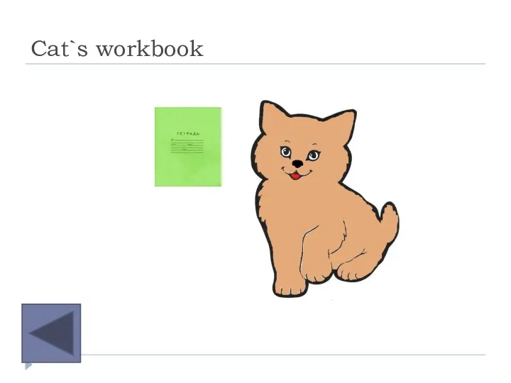 Cat`s workbook