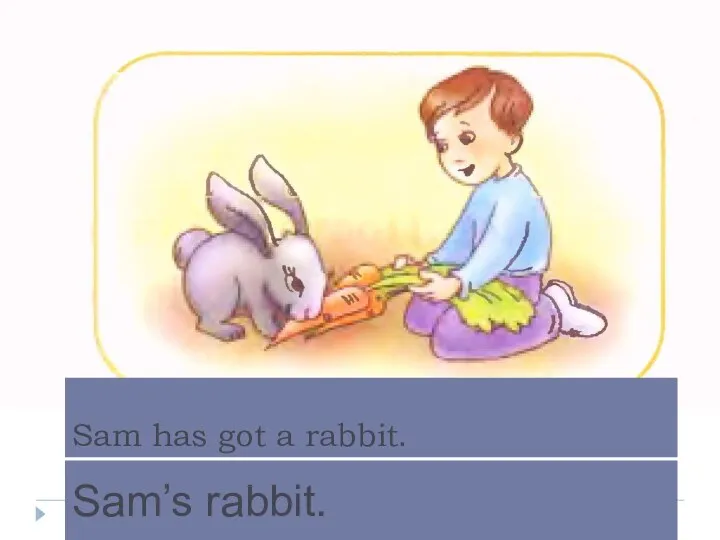 Sam has got a rabbit. Sam’s rabbit.