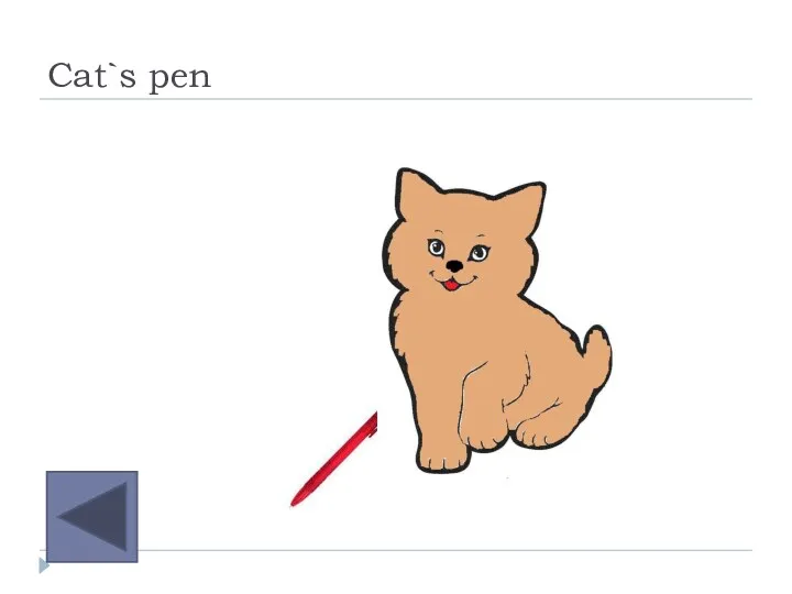 Cat`s pen