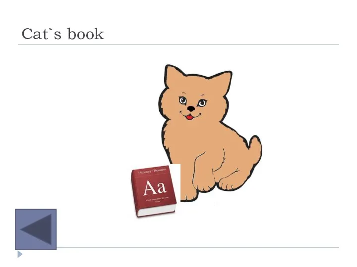Cat`s book