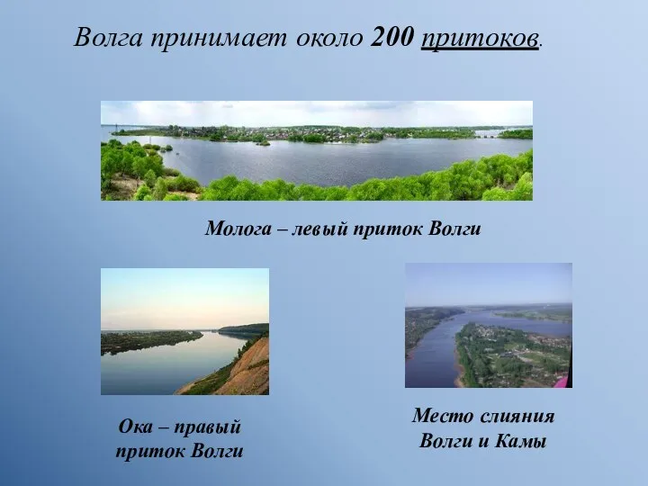 Волга принимает около 200 притоков. Молога – левый приток Волги