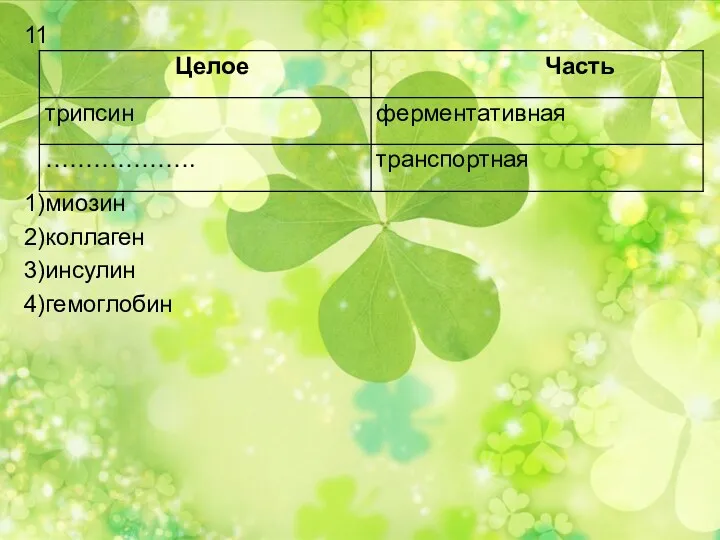 11 1)миозин 2)коллаген 3)инсулин 4)гемоглобин