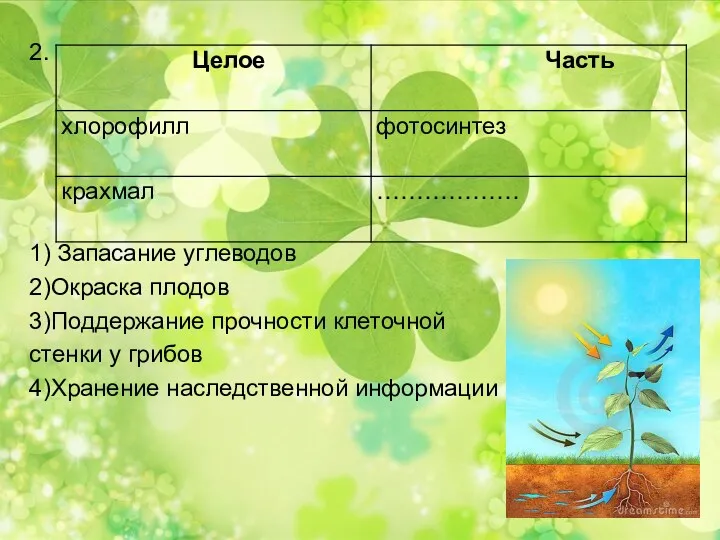 2. 1) Запасание углеводов 2)Окраска плодов 3)Поддержание прочности клеточной стенки у грибов 4)Хранение наследственной информации