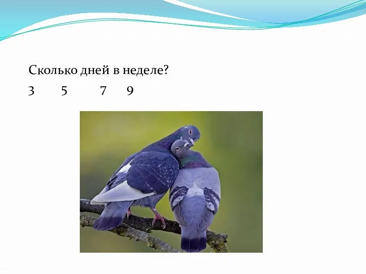 Сколько дней в неделе? 3 5 7 9