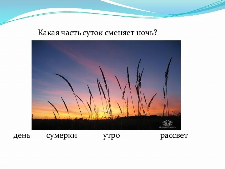 Какая часть суток сменяет ночь? день сумерки утро рассвет